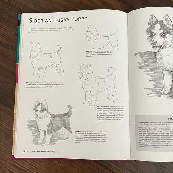 Complete Drawing Guide Book - Picture 4 of 6